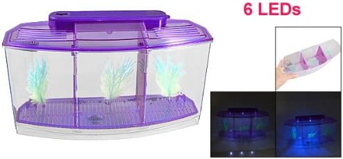 Veny'nin Plastik balık akvaryumu Mini Masaüstü pilli LED Lamba Açık Mor