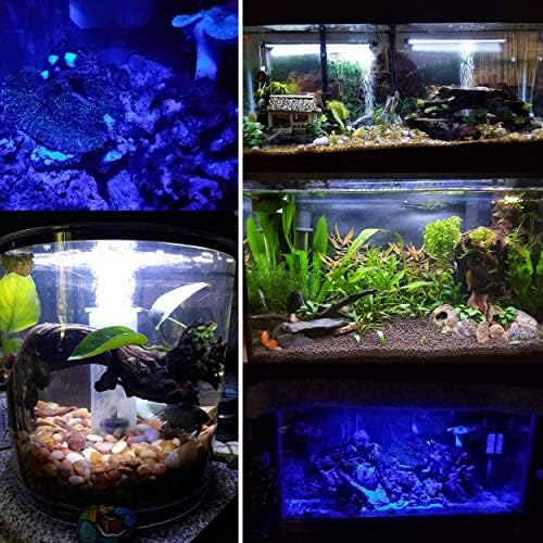 MingDak dalgıç akvaryum LED ışıkları, balık tankı ışık zamanlayıcı ile otomatik açma / kapama, beyaz ve mavi led ışık