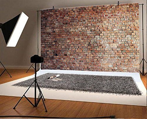 LFEEY 9x6ft Vintage Kırmızı Tuğla Duvar Zemin Photoshoot için Eski Brickwall Arka Fotoğrafçılık için Yenidoğan Bebek