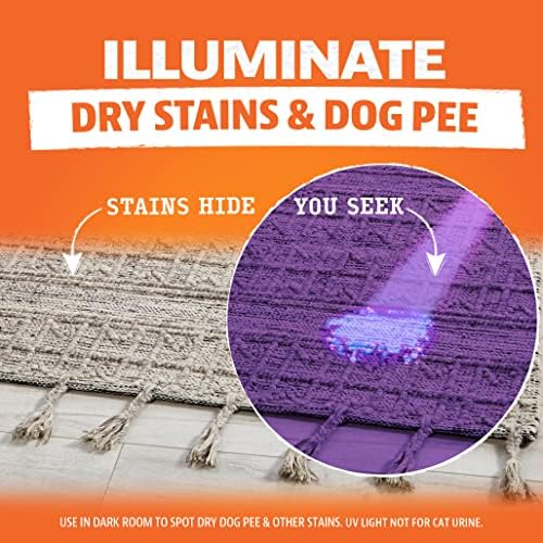 Kızgın turuncu UV el feneri-Kuru köpek idrarı için LED siyah ışık dedektörü-El fenerleri, ultraviyole siyah ışıkla