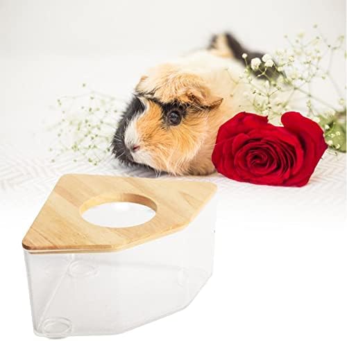 IEUDNS Şeffaf Hamster Kum Banyo Kutusu Pet Banyo Tuvalet Kum Banyosu Konteyner Küvet Kirpi Fareler Gerbil Sincap Gelincik