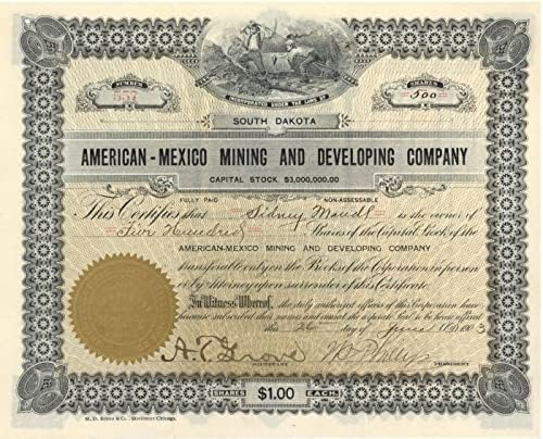 Amerikan-Meksika Madencilik ve Geliştirme A. Ş. - Stok Sertifikası