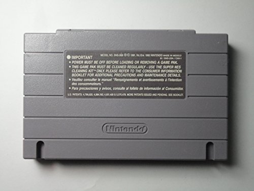 Vızıltı-Nintendo Süper NES
