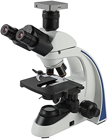N / A 40X - 1000X 1600X 2000X Laboratuvar Profesyonel Biyolojik Mikroskop Trinoküler Mikroskop (Boyut : 80X-2000X)