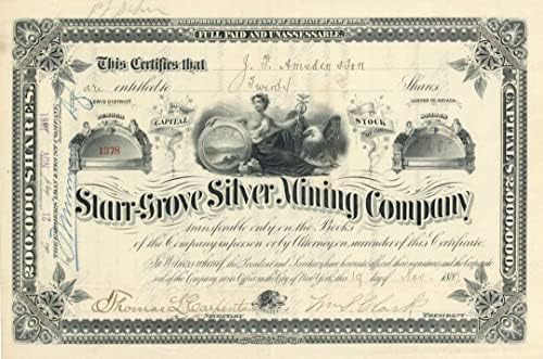 Starr-Grove Gümüş Madenciliği A. Ş. - Stok Sertifikası